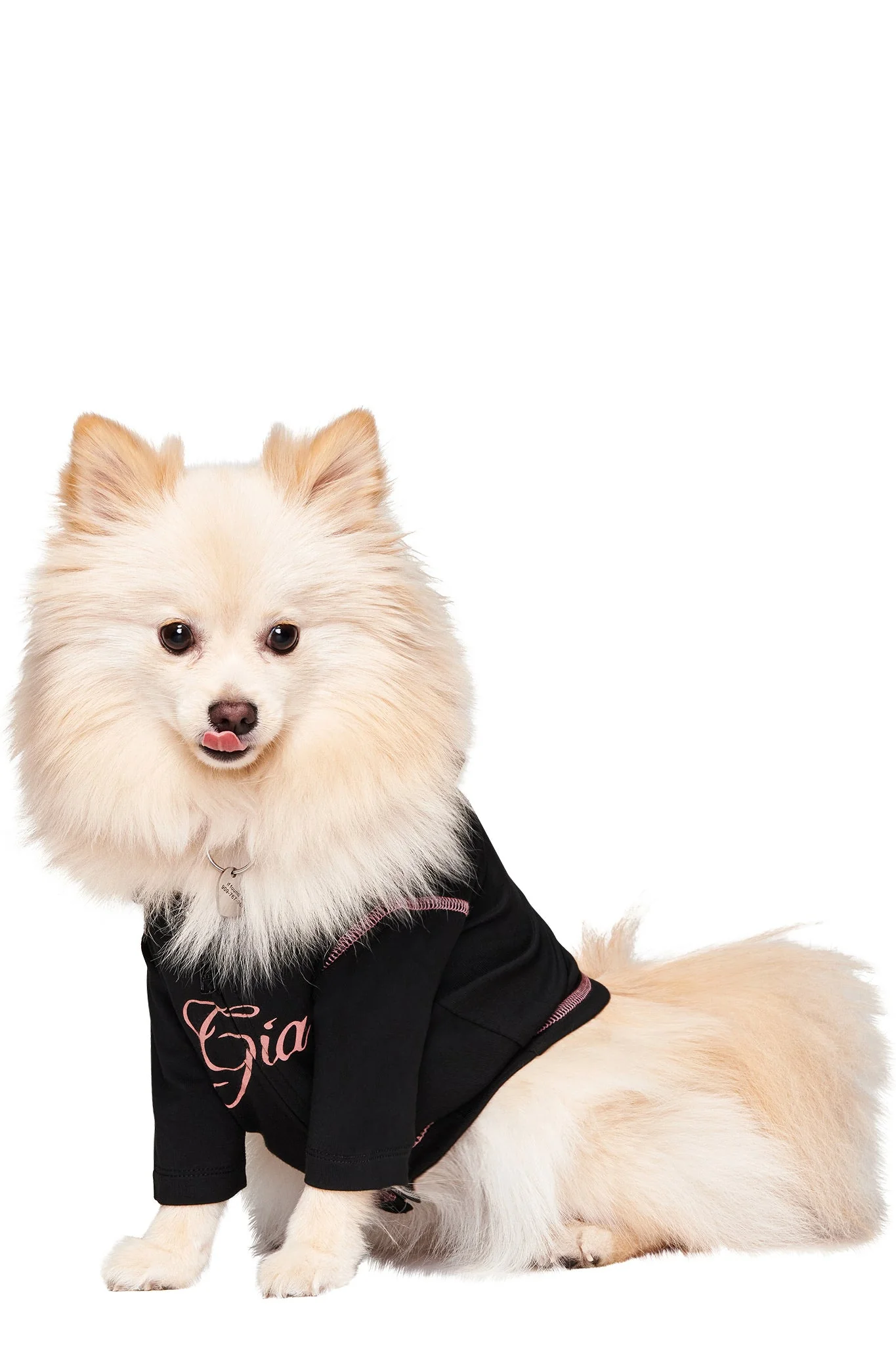 BLARE BEST FRIEND DOG HOODIE - BLACK - Image 5