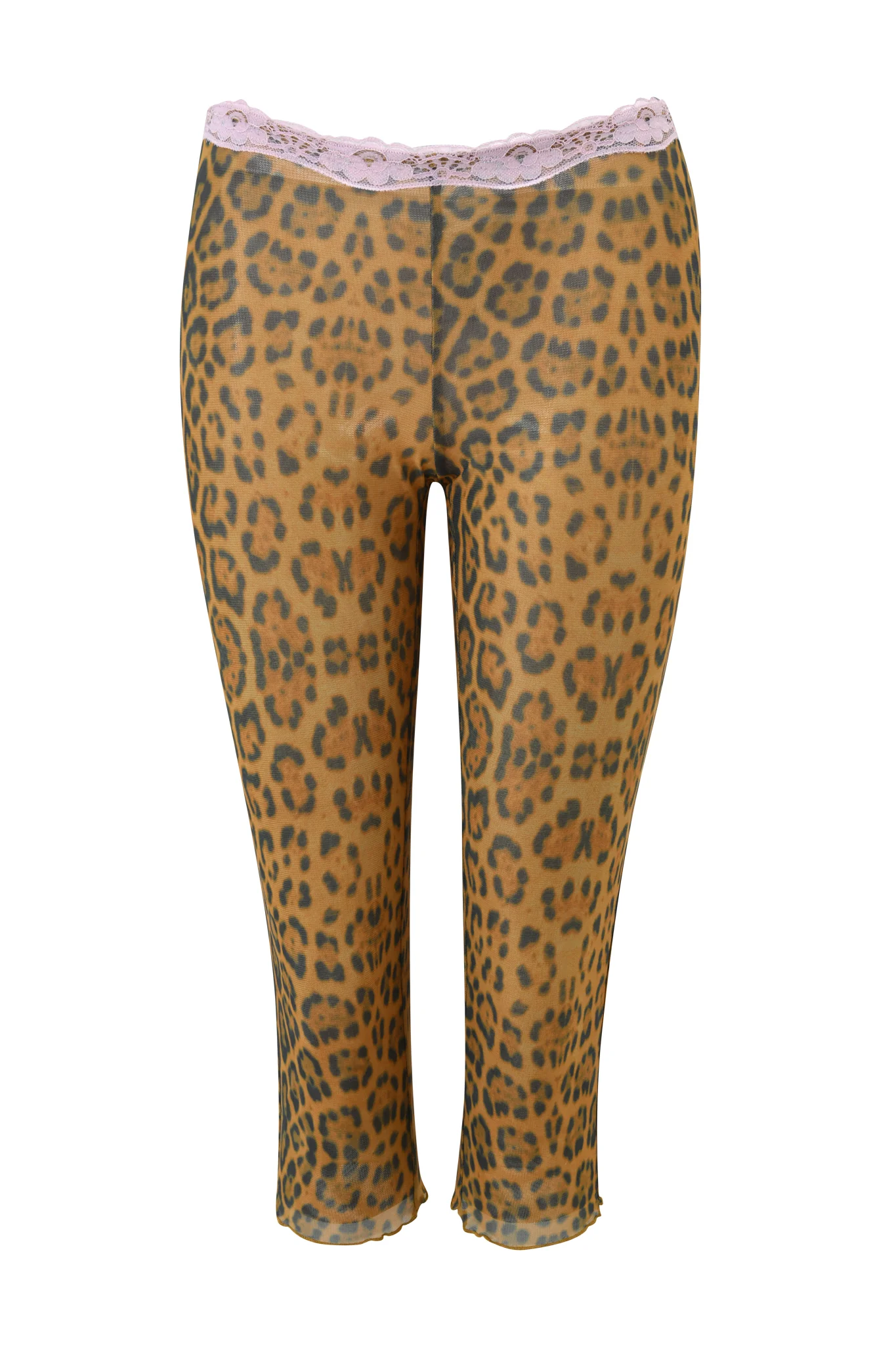 TASHI CAPRI - PANTHERA - Image 6