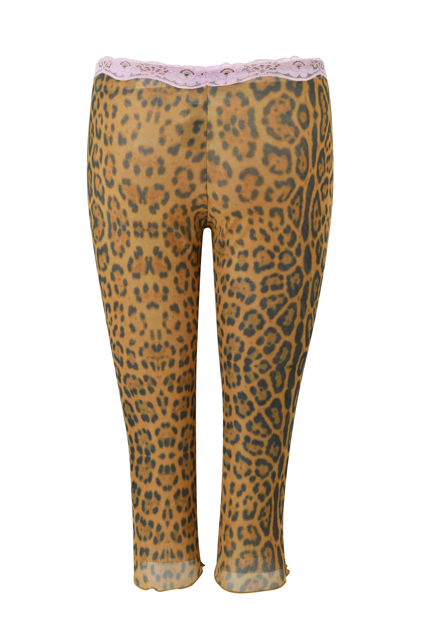 TASHI CAPRI - PANTHERA - Image 7