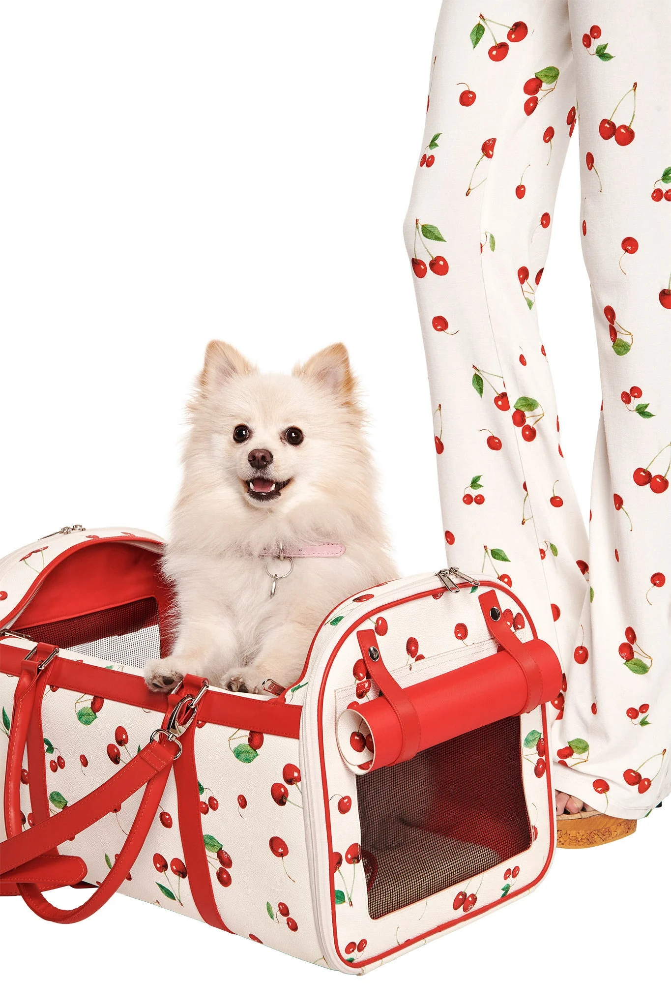TRIXX PET CARRIER - CHERRY ON TOP - Image 3