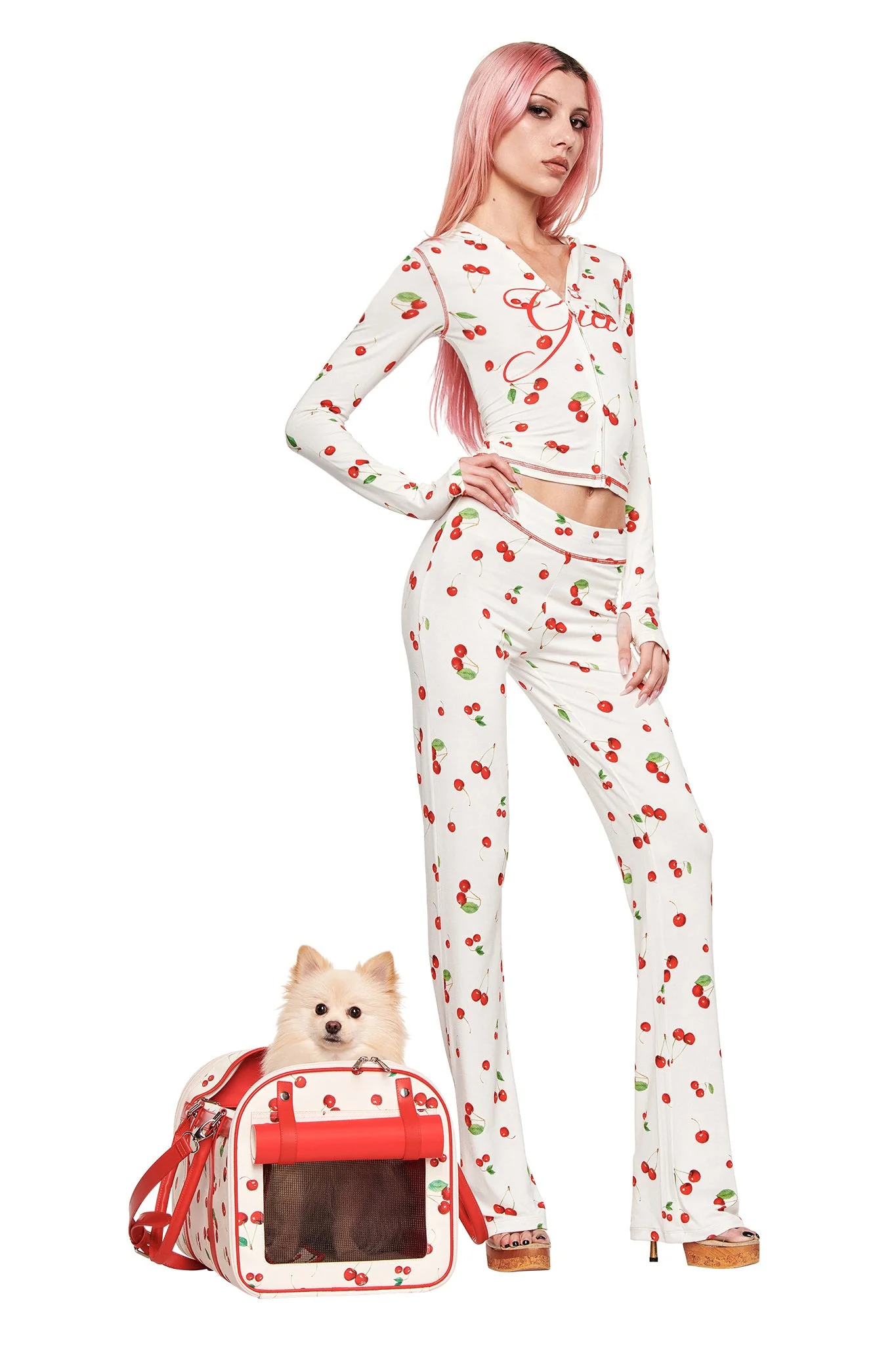 TRIXX PET CARRIER - CHERRY ON TOP - Image 5