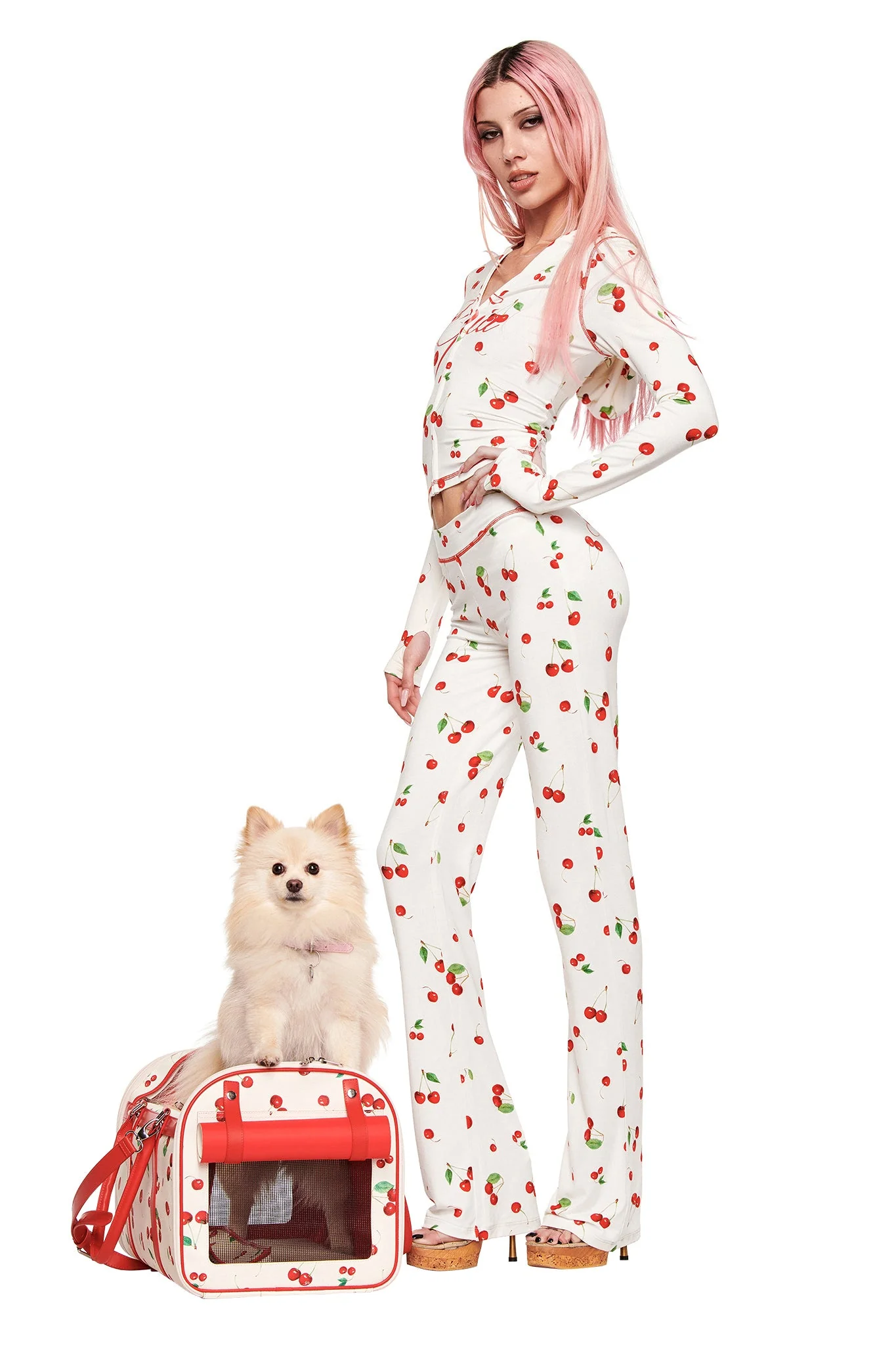 TRIXX PET CARRIER - CHERRY ON TOP - Image 9